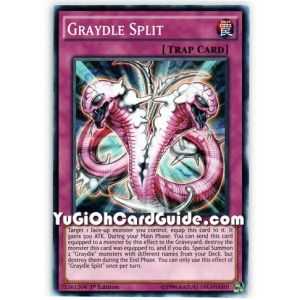 Graydle Split (Common) – Dimension of Chaos | Carta YUGIOH en México