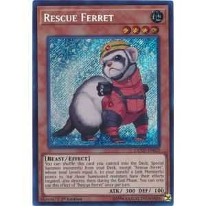 Rescue Ferret (Secret Rare) – Code of the Duelist | Carta YUGIOH en México