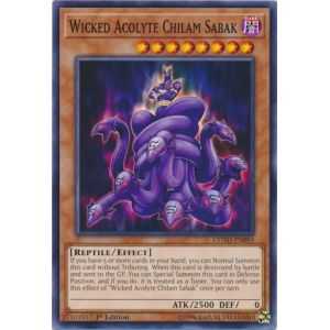 Wicked Acolyte Chilam Sabak (Common) – Code of the Duelist | Carta YUGIOH en México