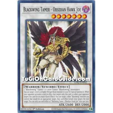 Blackwing Tamer - Obsidian Hawk Joe (Common) – Legendary Duelists: Season 2 | Carta YUGIOH en México