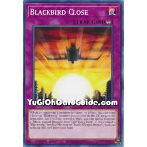 Blackbird Close (Common) – Legendary Duelists: Season 2 | Carta YUGIOH en México
