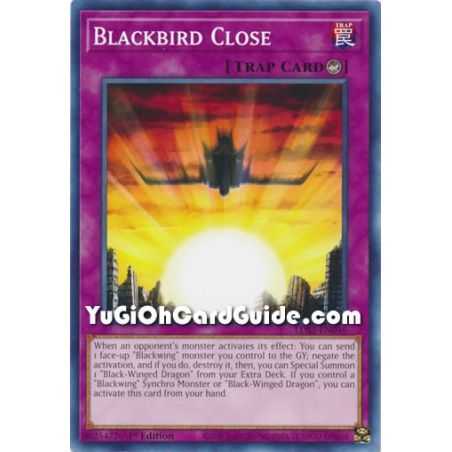 Blackbird Close (Common) – Legendary Duelists: Season 2 | Carta YUGIOH en México