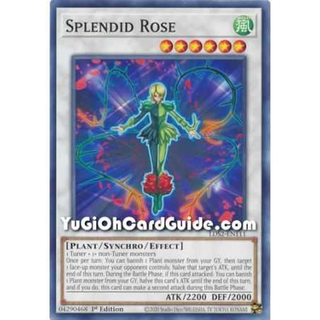 Splendid Rose (Common) – Legendary Duelists: Season 2 | Carta YUGIOH en México
