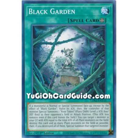 Black Garden (Common) – Legendary Duelists: Season 2 | Carta YUGIOH en México