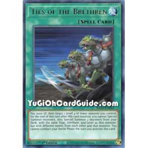 Ties of the Brethren (Rare) – Kings Court | Carta YUGIOH en México