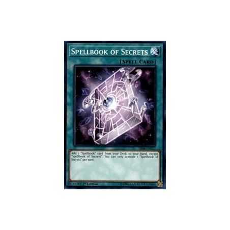 Spellbook of Secrets (Common)