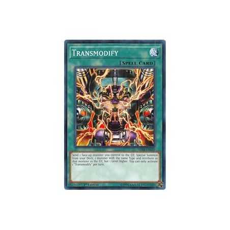 Transmodificar (Common)