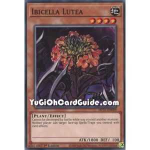 Ibicella Lutea (Common) – 2021 Tin of Ancient Battles | Carta YUGIOH en México