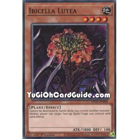 Ibicella Lutea (Common) – 2021 Tin of Ancient Battles | Carta YUGIOH en México