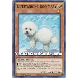 Outstanding Dog Mary (Common) – Burst of Destiny | Carta YUGIOH en México