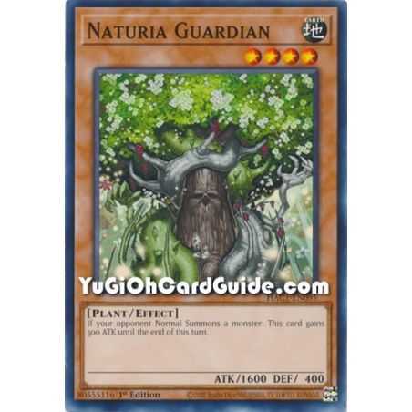 Naturia Guardian (Common) – Hidden Arsenal Chapter 1 | Carta YUGIOH en México