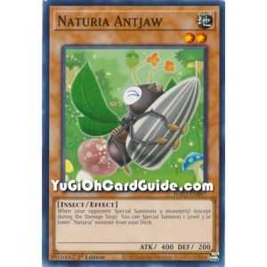 Naturia Antjaw (Common) – Hidden Arsenal Chapter 1 | Carta YUGIOH en México
