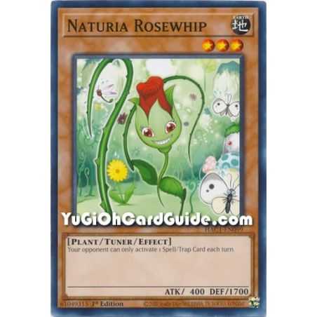 Naturia Rosewhip (Common) – Hidden Arsenal Chapter 1 | Carta YUGIOH en México