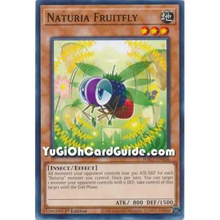 Naturia Fruitfly (Common) – Hidden Arsenal Chapter 1 | Carta YUGIOH en México
