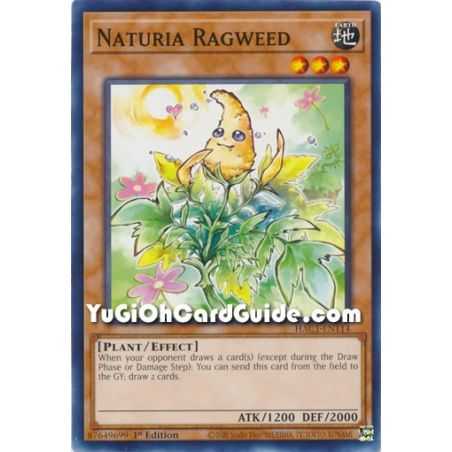 Naturia Ragweed (Common) – Hidden Arsenal Chapter 1 | Carta YUGIOH en México