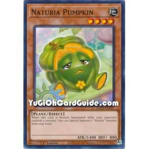 Naturia Pumpkin (Common) – Hidden Arsenal Chapter 1 | Carta YUGIOH en México