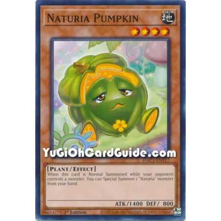 Naturia Pumpkin (Common) – Hidden Arsenal Chapter 1 | Carta YUGIOH en México