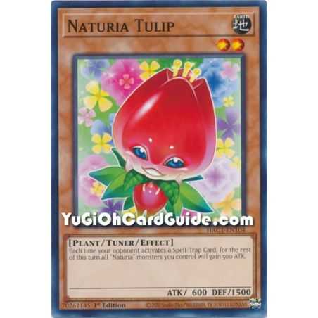 Naturia Tulip (Common) – Hidden Arsenal Chapter 1 | Carta YUGIOH en México