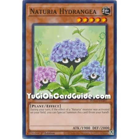 Naturia Hydrangea (Common) – Hidden Arsenal Chapter 1 | Carta YUGIOH en México