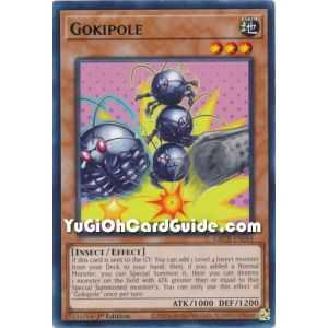 Gokipole (Rare) – The Grand Creators | Carta YUGIOH en México