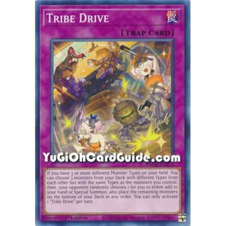 Tribe Drive (Common) – Battle of Chaos | Carta YUGIOH en México