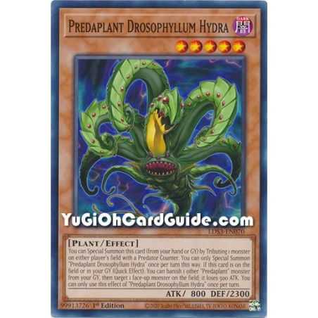 Predaplant Drosophyllum Hydra (Common) – Legendary Duelists Season 3 | Carta YUGIOH en México