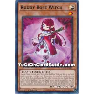 Ruddy Rose Witch (Rare) – 2019 Gold Sarcophagus Mega Pack | Carta YUGIOH en México