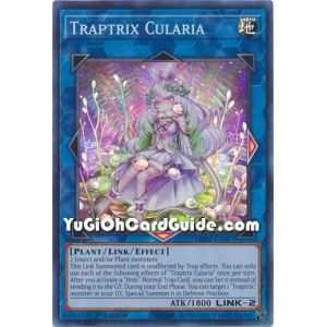 Traptrix Cularia (Super Rare) – 2019 Gold Sarcophagus Mega Pack | Carta YUGIOH en México