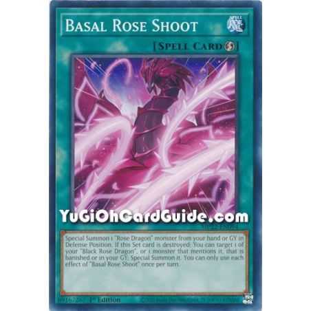 Basal Rose Shoot (Common) – 2019 Gold Sarcophagus Mega Pack | Carta YUGIOH en México