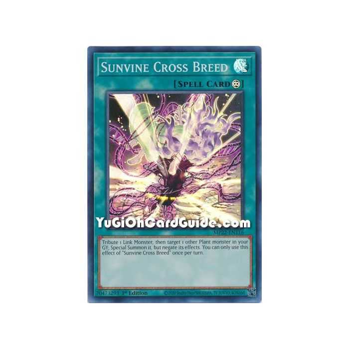 Sunvine Cross Breed (Super Rare) – 2019 Gold Sarcophagus Mega Pack | Carta YUGIOH en México
