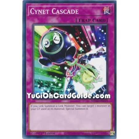 Cynet Cascade (Common) – 2022 Tin of the Pharaohs Gods Mega Pack | Carta YUGIOH en México