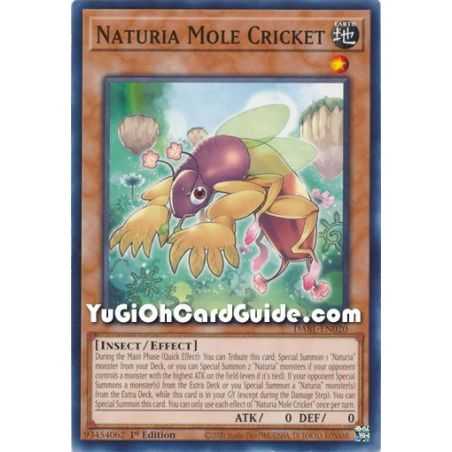 Naturia Mole Cricket (Common) – Darkwing Blast | Carta YUGIOH en México