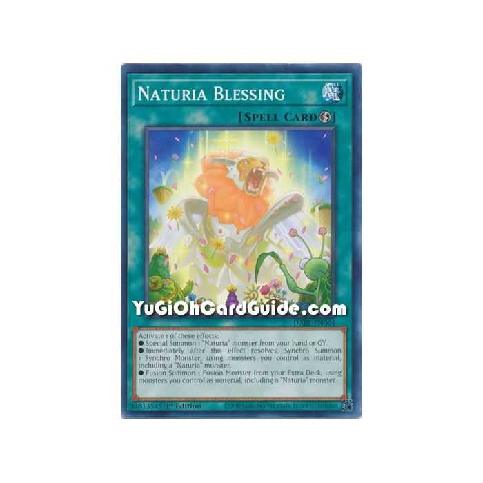 Naturia Blessing (Common) – Darkwing Blast | Carta YUGIOH en México
