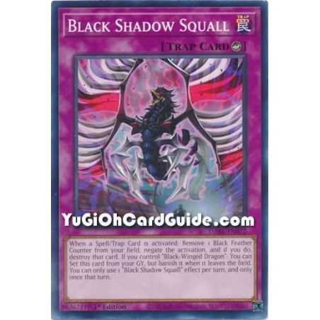 Black Shadow Squall (Common) – Darkwing Blast | Carta YUGIOH en México