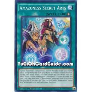 Amazoness Secret Arts (Common) – Darkwing Blast | Carta YUGIOH en México
