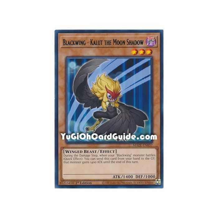 Blackwing - Kalut the Moon Shadow (Rare) – Maze of Memories | Carta YUGIOH en México