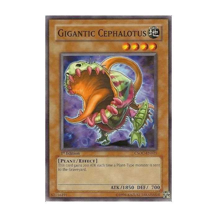 Gigantic Cephalotus (Common)