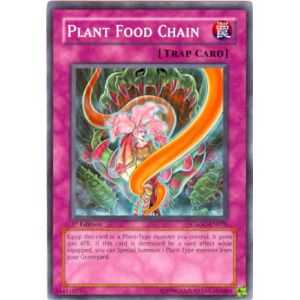 Plant Food Chain (Common)