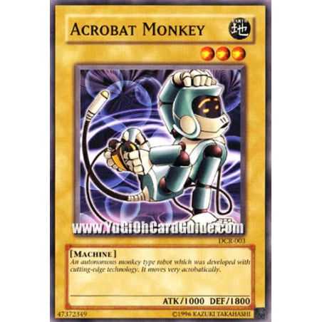 Acrobat Monkey (Common)