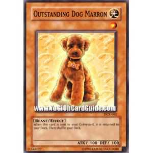 Outstanding Dog Marron (Common)