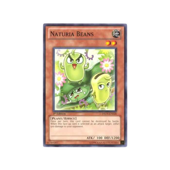 Naturia Beans (Common)
