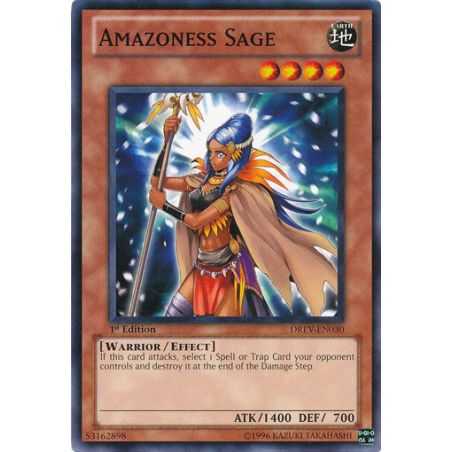 Amazoness Sage (Common)