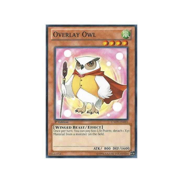 Overlay Owl (Common)