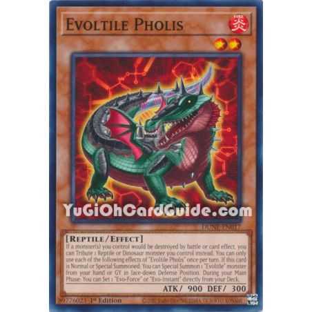 Evoltile Pholis (Common)