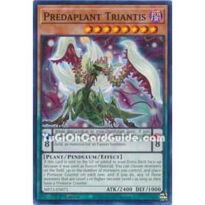 Predaplant Triantis (Common)