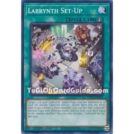 Labrynth Set-Up (Common)