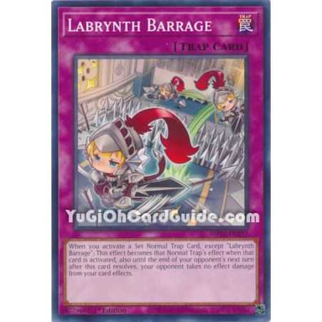 Labrynth Barrage (Common)