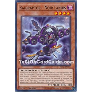 Raidraptor - Noir Lanius (Common)