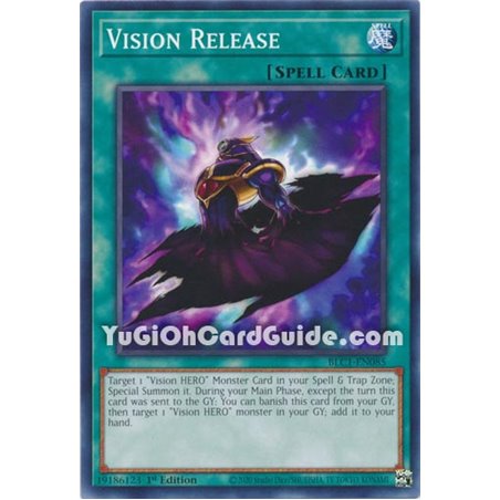 Vision Release (Common)
