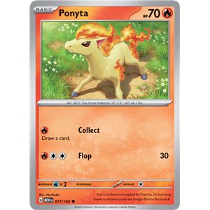 Ponyta